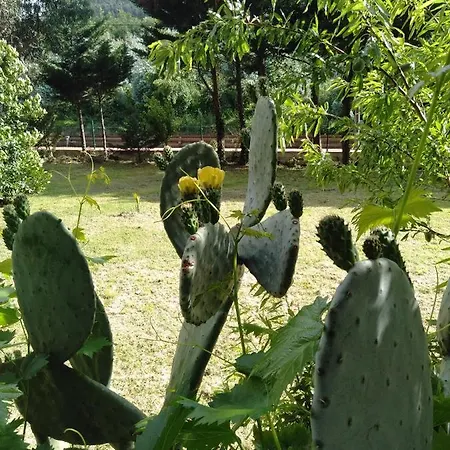 Precioso Con Piscina *